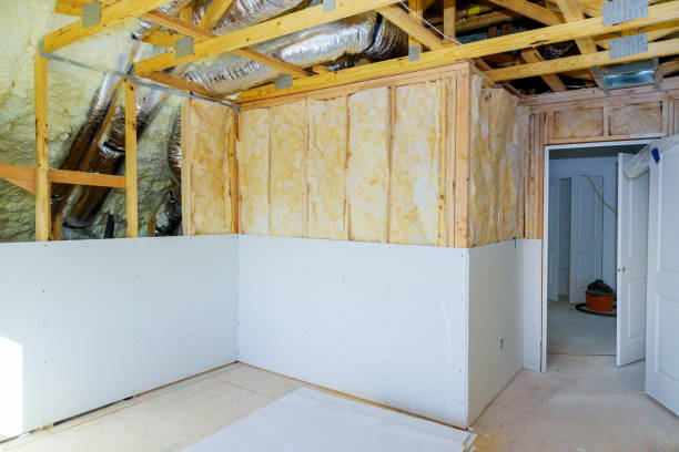 Best Eco-Friendly Insulation Solutions  in Stanton, MI